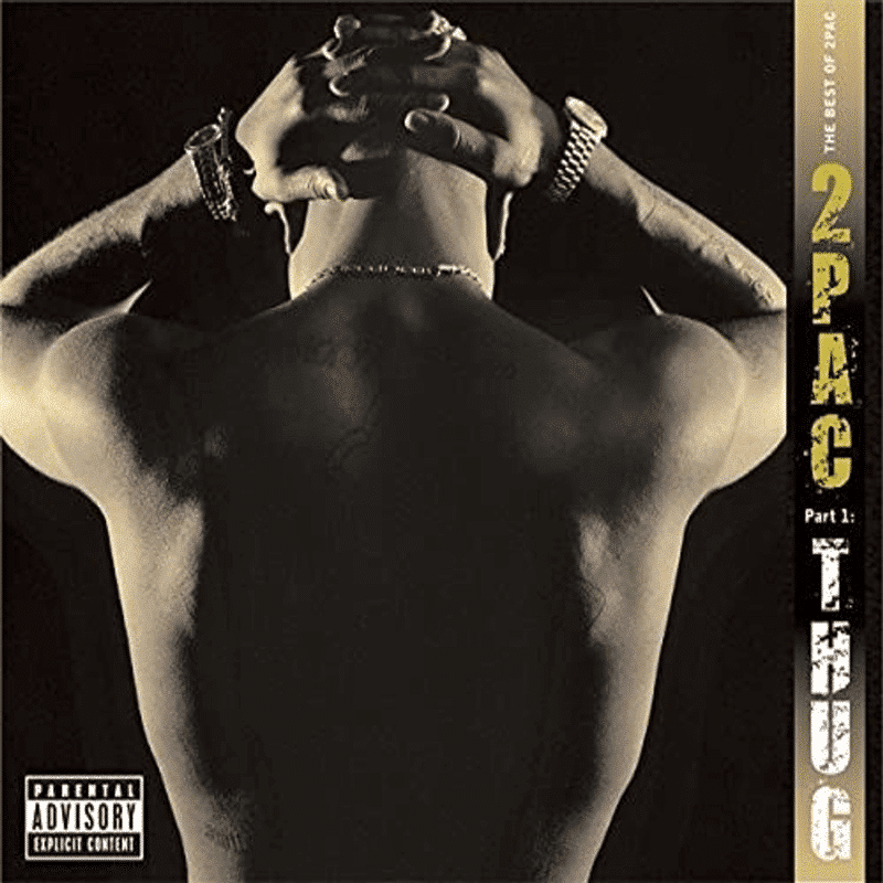 The Best Of 2Pac Part 1: Thug - 2Pac - metafield_custom.product_key_info - - The Vinyl Store