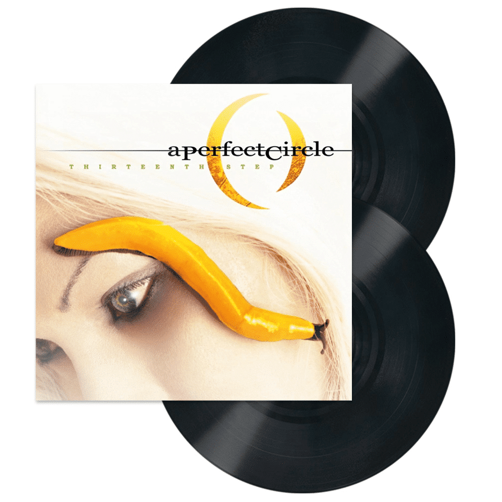 Thirteenth Step - A Perfect Circle - metafield_custom.product_key_info - - The Vinyl Store