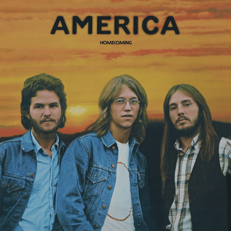 Homecoming - America - metafield_custom.product_key_info - - The Vinyl Store