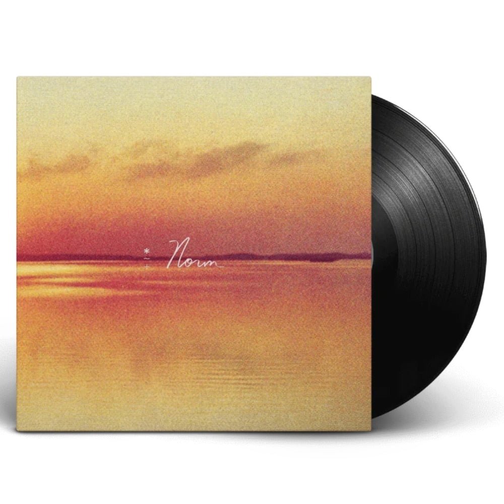 Norm - Andy Shauf - metafield_custom.product_key_info - - The Vinyl Store