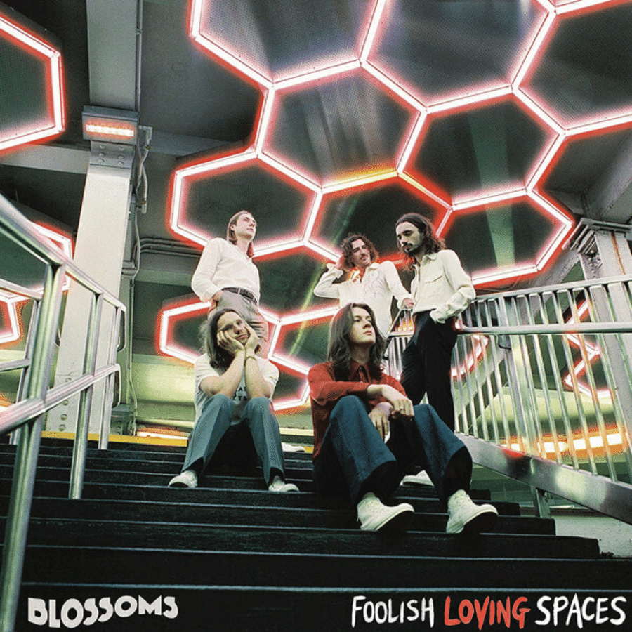 Foolish Loving Spaces - Blossoms - metafield_custom.product_key_info - - The Vinyl Store