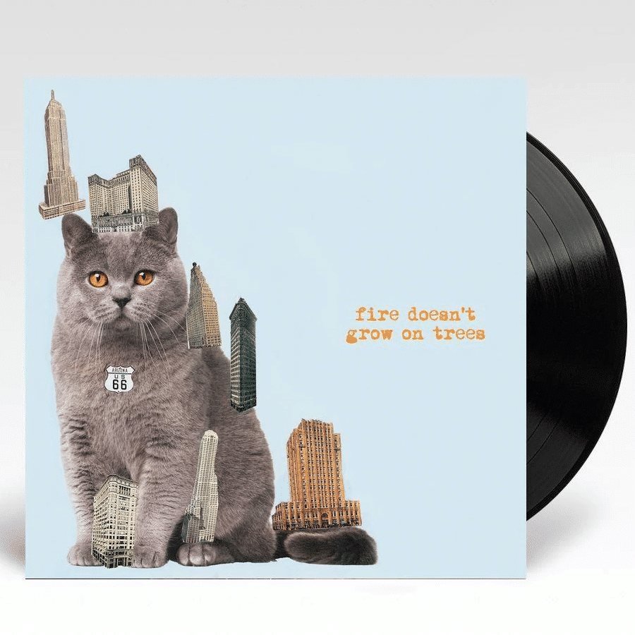 Fire Doesn't Grow On Trees - The Brian Jonestown Massacre - metafield_custom.product_key_info - - The Vinyl Store