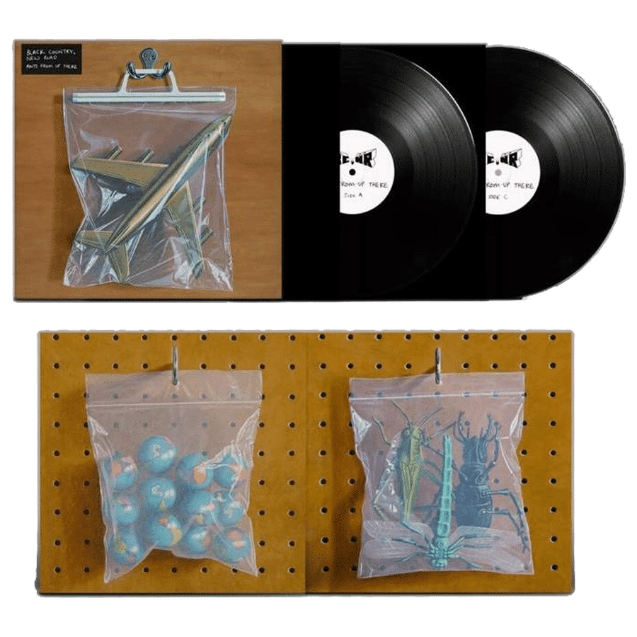 Ants From Up There - Black Country, New Road - 2lp - 5054429151428 - The Vinyl Store