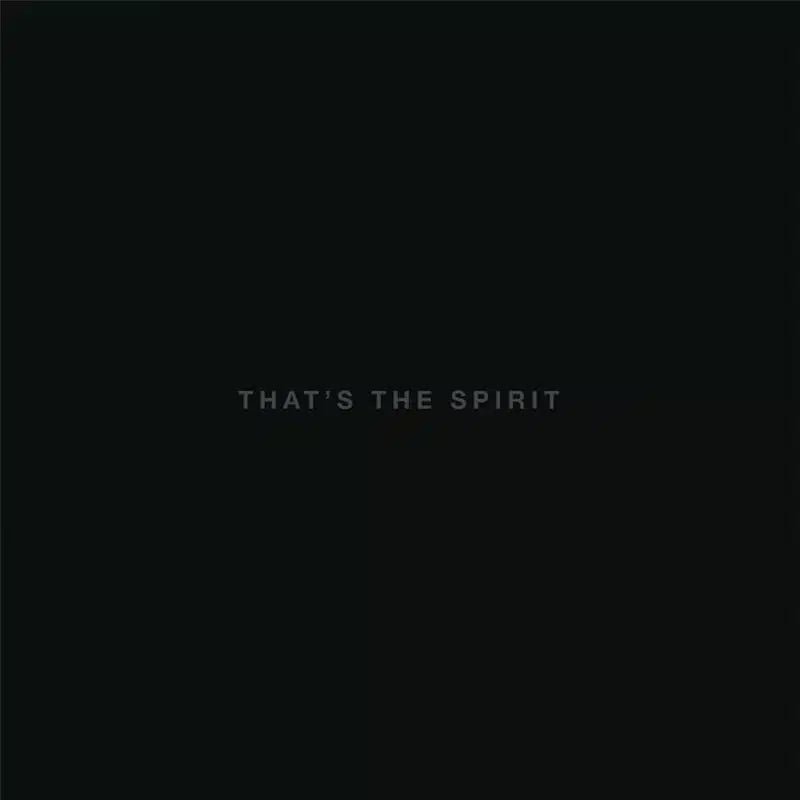 That's The Spirit - Bring Me The Horizon - lp - 888751309012 - The Vinyl Store