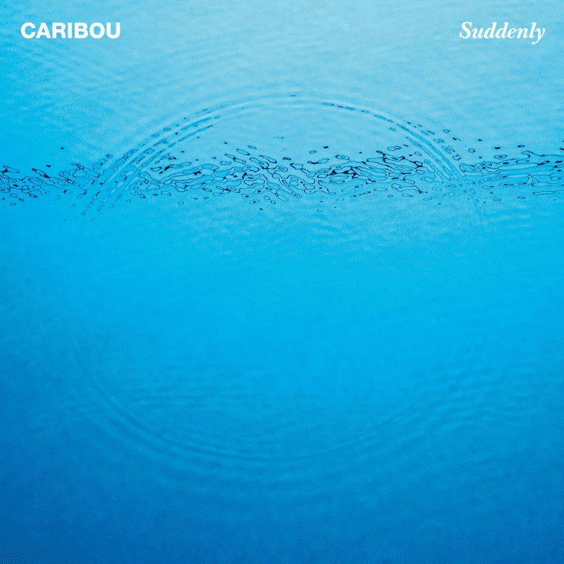 Suddenly - Caribou - lp - 4250506834715 - The Vinyl Store