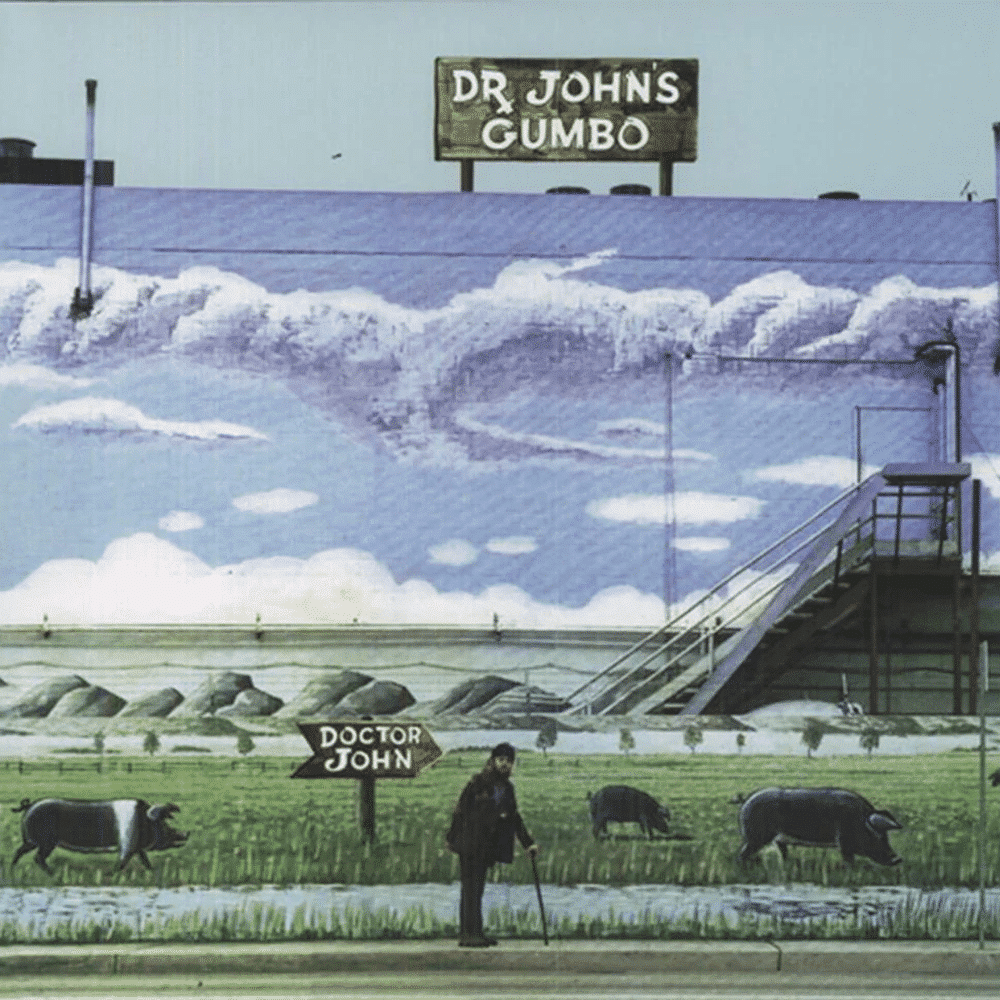 Dr John's Gumbo - Dr John - metafield_custom.product_key_info - - The Vinyl Store