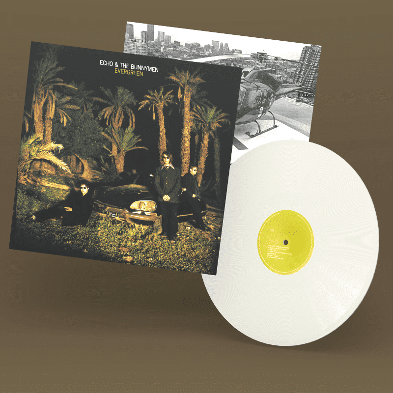 Evergreen - Echo & The Bunnymen - metafield_custom.product_key_info - - The Vinyl Store