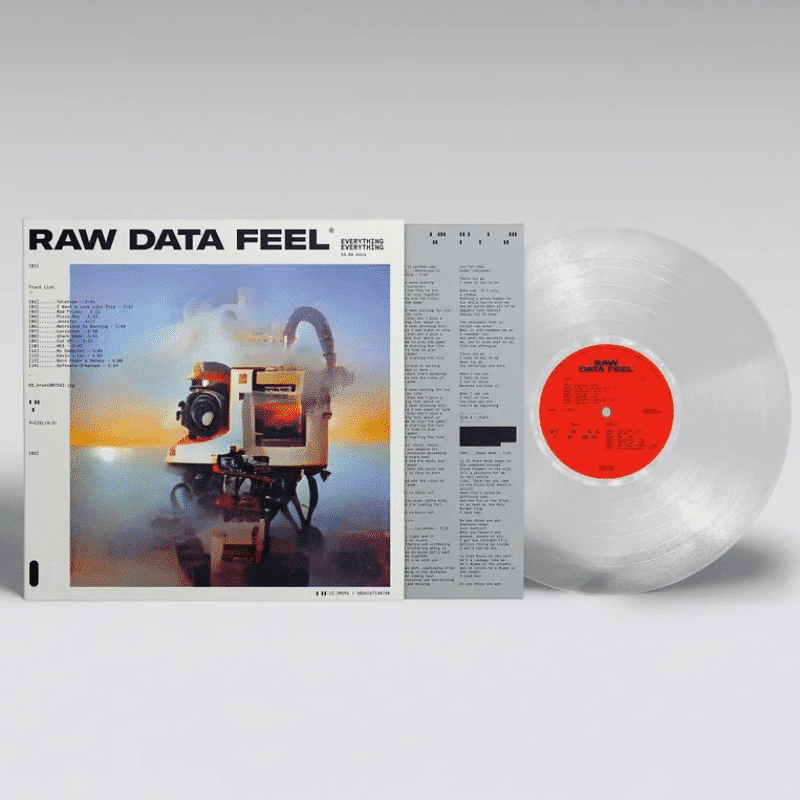 Raw Data Feel - Everything Everything - lp - 5056167169703 - The Vinyl Store