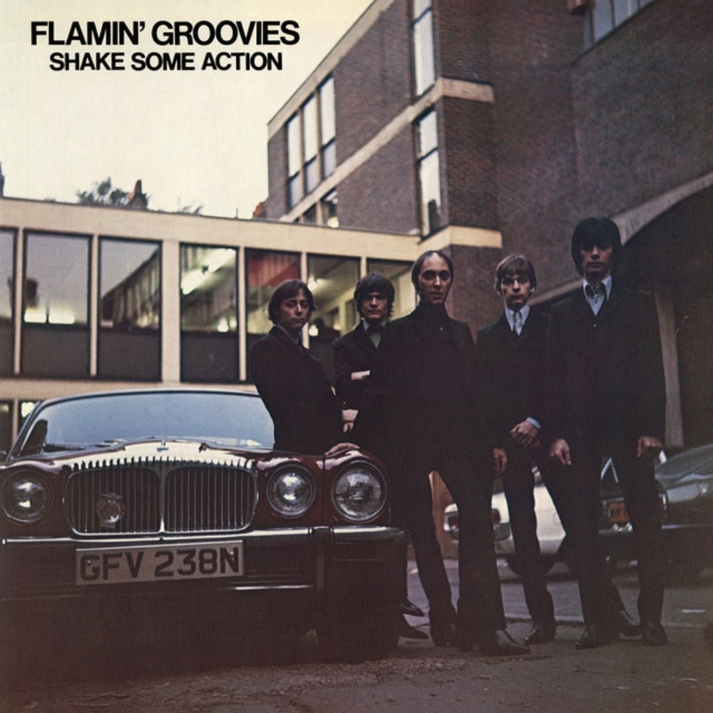 Shake Some Action - Flamin' Groovies - metafield_custom.product_key_info - 081227804350 - The Vinyl Store