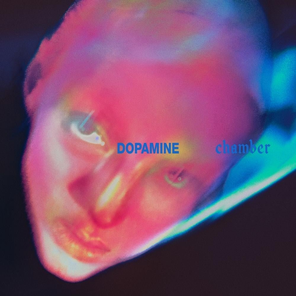 Dopamine Chamber - Fontaines D.C. - metafield_custom.product_key_info - 191404167311 - The Vinyl Store
