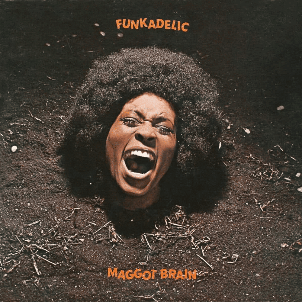 Maggot Brain - Funkadelic - lp - 029667370219 - The Vinyl Store