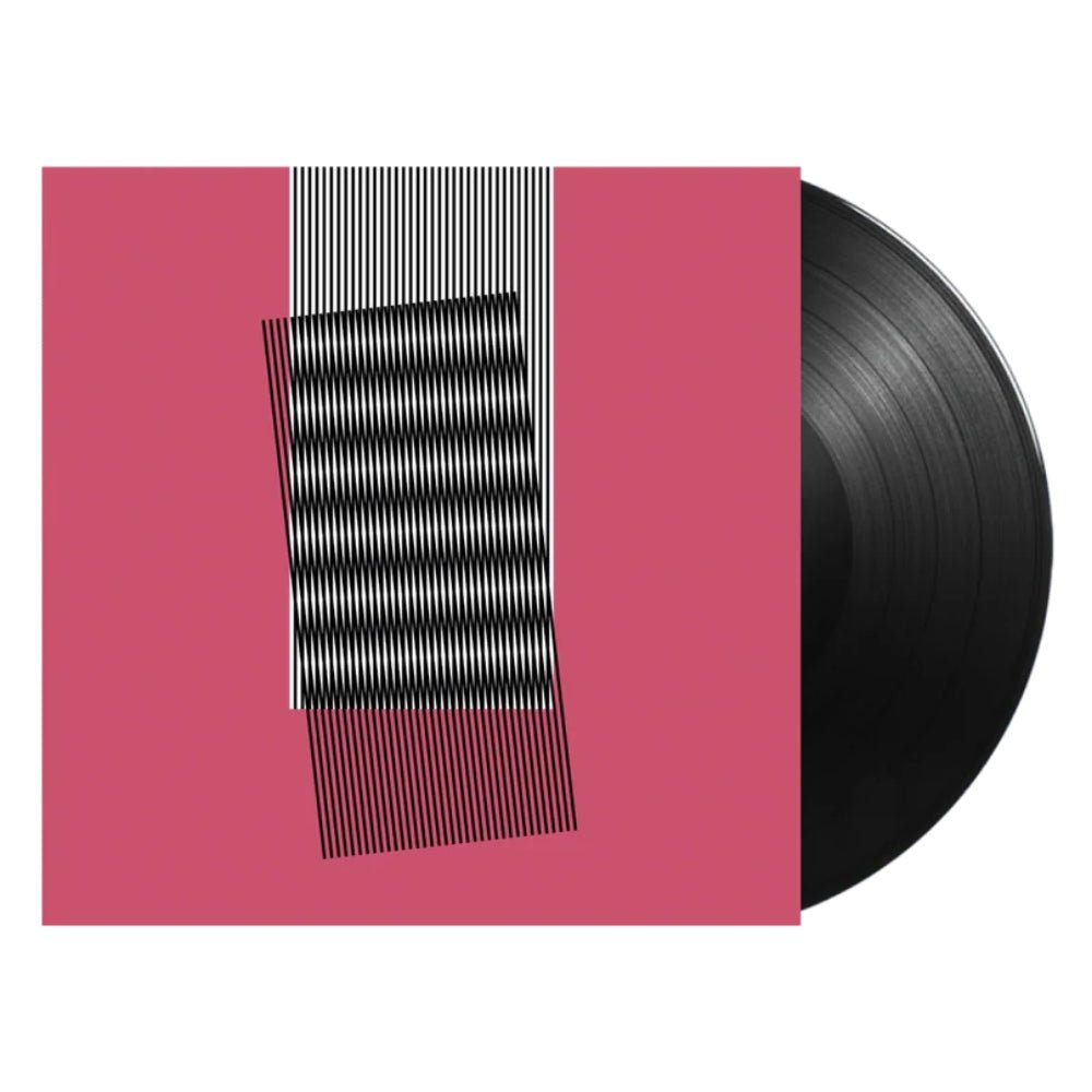 Why Make Sense? - Hot Chip - metafield_custom.product_key_info - 887828031382 - The Vinyl Store