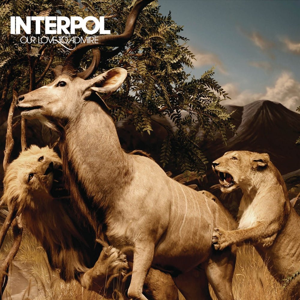 Our Love To Admire - Interpol - metafield_custom.product_key_info - 191401150415 - The Vinyl Store