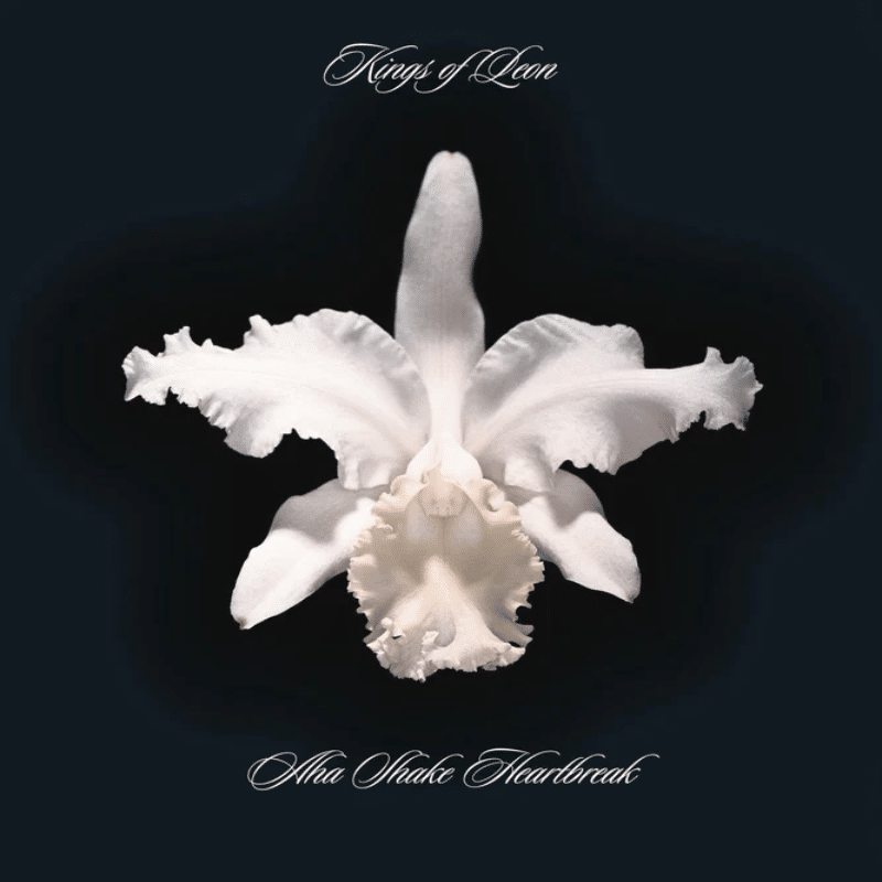 Aha Shake Heartbreak - Kings Of Leon - metafield_custom.product_key_info - - The Vinyl Store