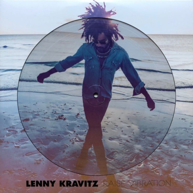 Raise Vibration - Lenny Kravitz - metafield_custom.product_key_info - - The Vinyl Store