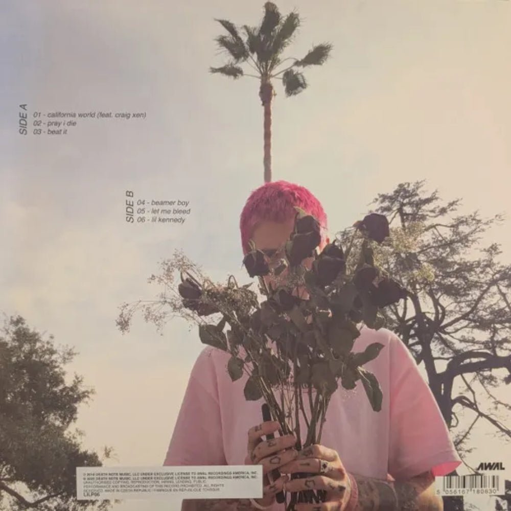 California Girls - Lil Peep - metafield_custom.product_key_info - - The Vinyl Store