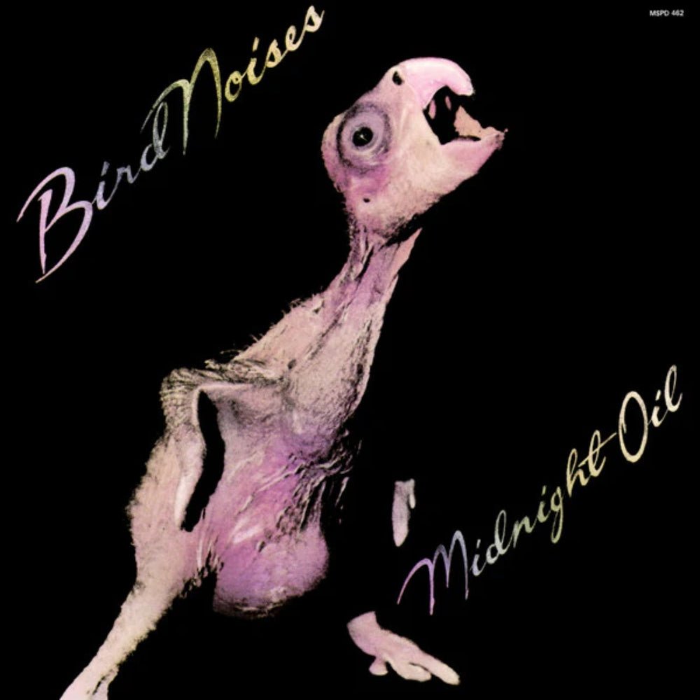 Bird Noises - Midnight Oil - metafield_custom.product_key_info - 889854786526 - The Vinyl Store
