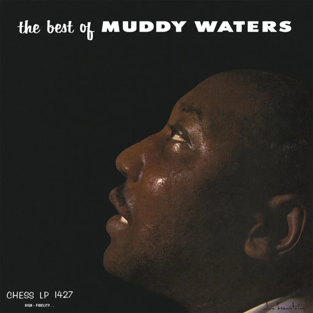 The Best Of Muddy Waters - Muddy Waters - metafield_custom.product_key_info - - The Vinyl Store