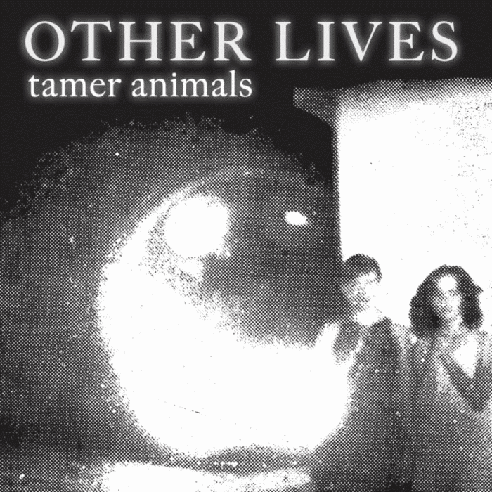 Tamer Animals - Other Lives - lp - 5400863057268 - The Vinyl Store