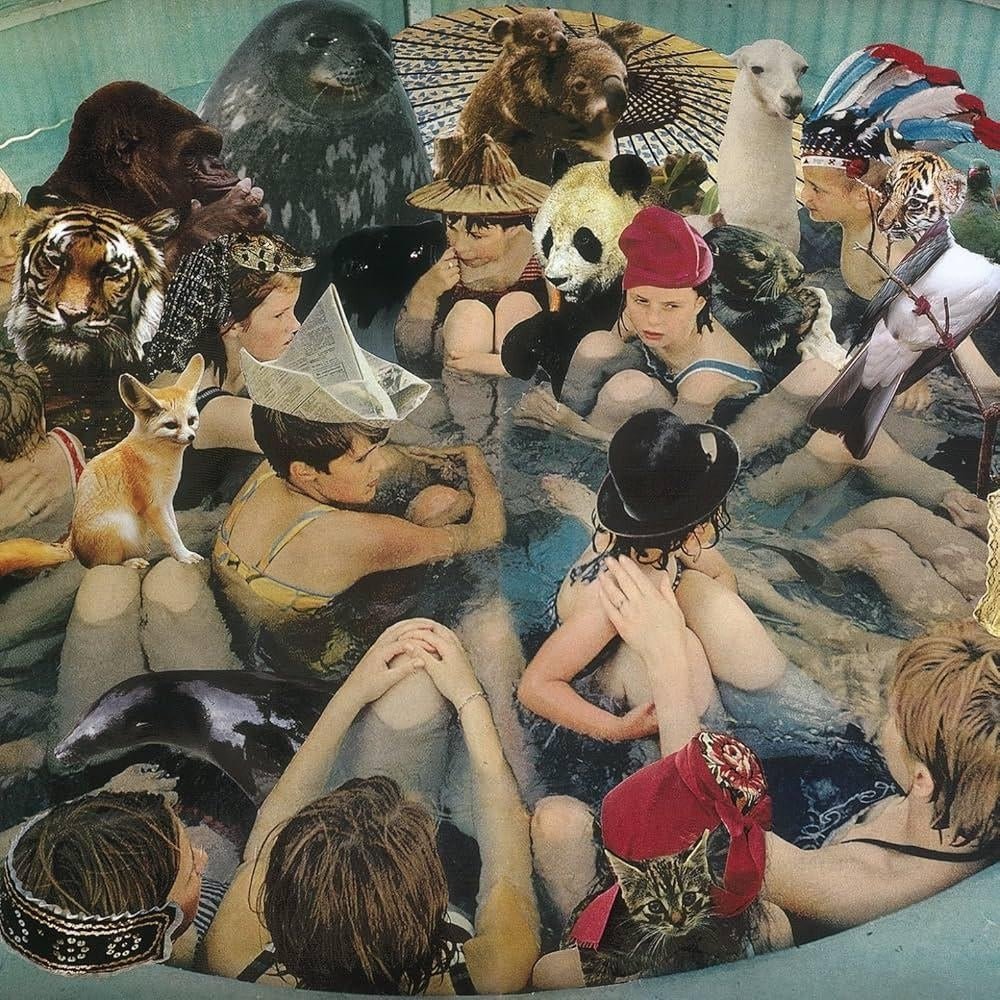 Person Pitch - Panda Bear - metafield_custom.product_key_info - - The Vinyl Store