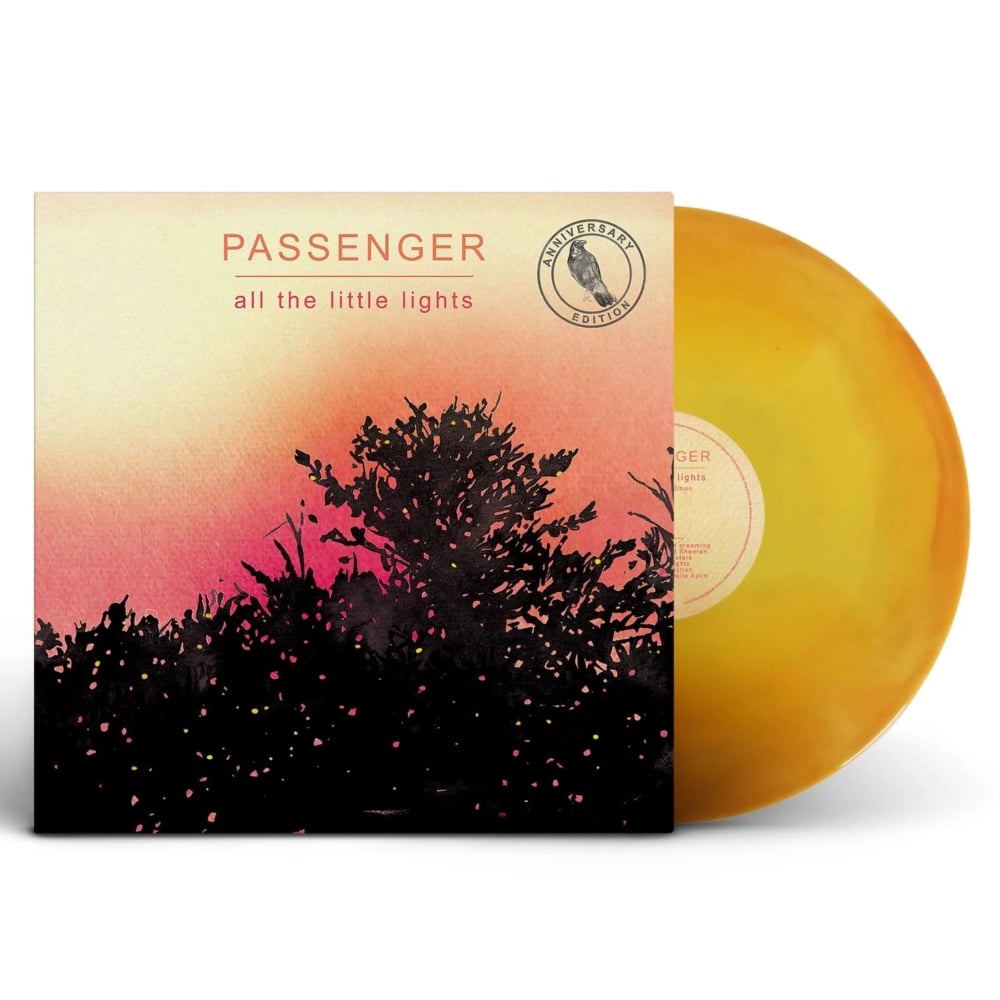 All The Little Lights - Passenger - metafield_custom.product_key_info - - The Vinyl Store