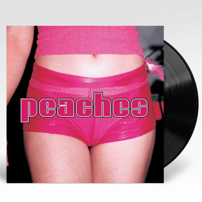 The Teaches Of Peaches - Peaches - lp - 634904016319 - The Vinyl Store