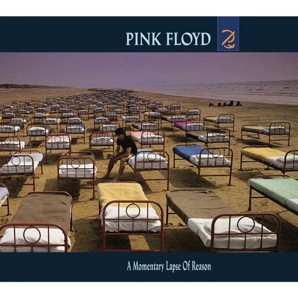 A Momentary Lapse Of Reason - Pink Floyd - metafield_custom.product_key_info - 888751709621 - The Vinyl Store