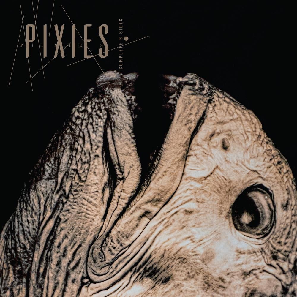 Complete B Sides: 1988 - 97 - Pixies - metafield_custom.product_key_info - 191400087804 - The Vinyl Store