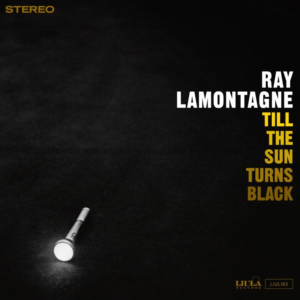 Till the Sun Turns Black - Ray Lamontagne - metafield_custom.product_key_info - 840381601638 - The Vinyl Store