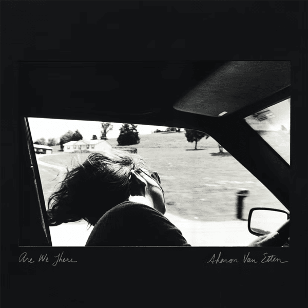 Are We There - Sharon Van Etten - lp - 656605225517 - The Vinyl Store