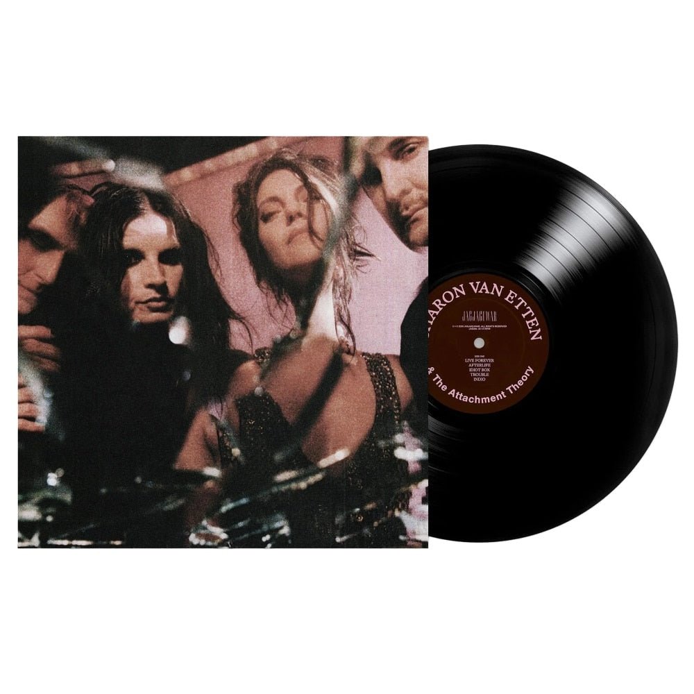 Sharon Van Etten & The Attachment Theory - Sharon Van Etten - lp - 656605246413 - The Vinyl Store