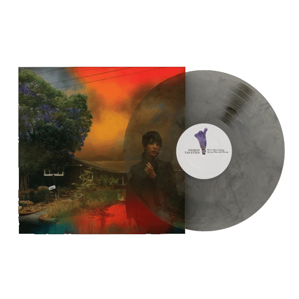 We've Been Going About This All Wrong - Sharon Van Etten - metafield_custom.product_key_info - - The Vinyl Store