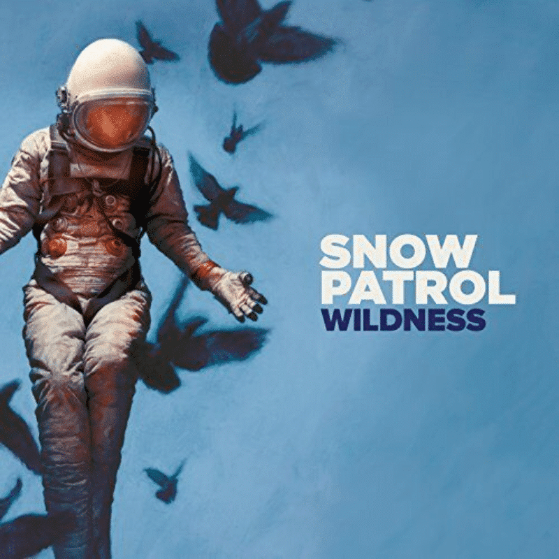 Wildness - Snow Patrol - metafield_custom.product_key_info - - The Vinyl Store
