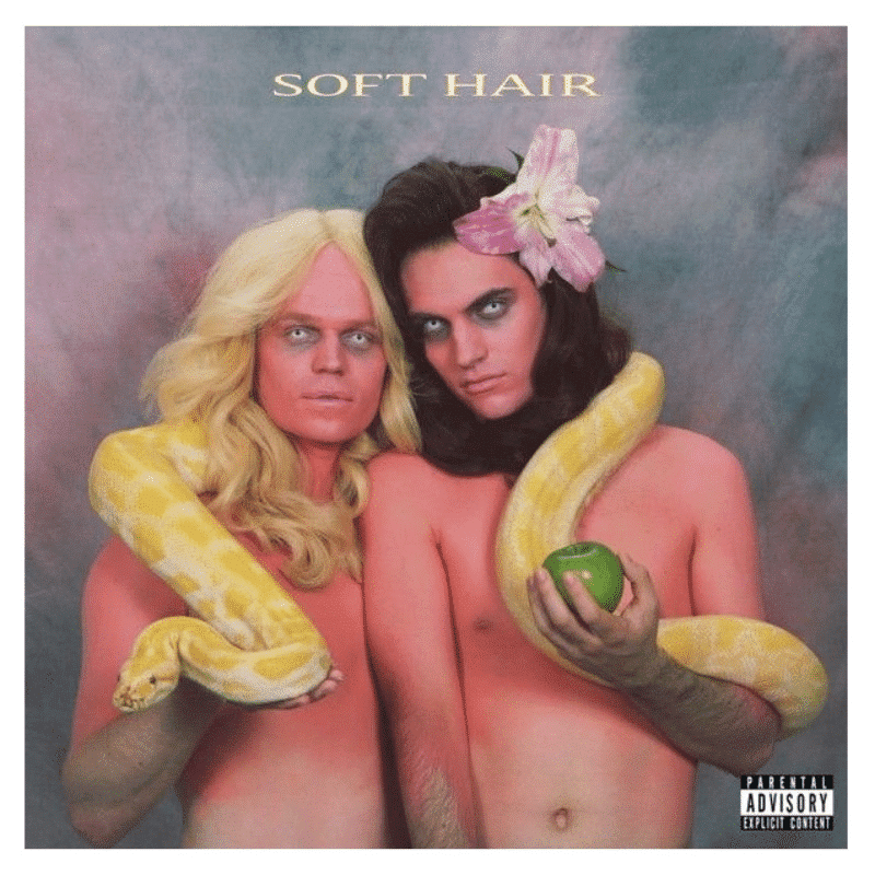 Soft Hair - Soft Hair - metafield_custom.product_key_info - - The Vinyl Store