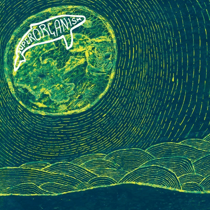 Superorganism - Superorganism - metafield_custom.product_key_info - - The Vinyl Store