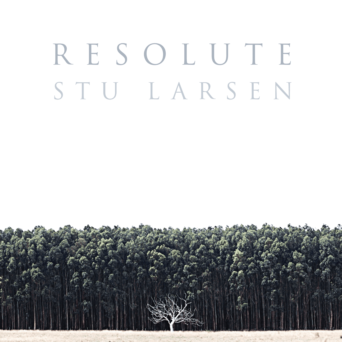 Resolute - Stu Larsen - metafield_custom.product_key_info - - The Vinyl Store