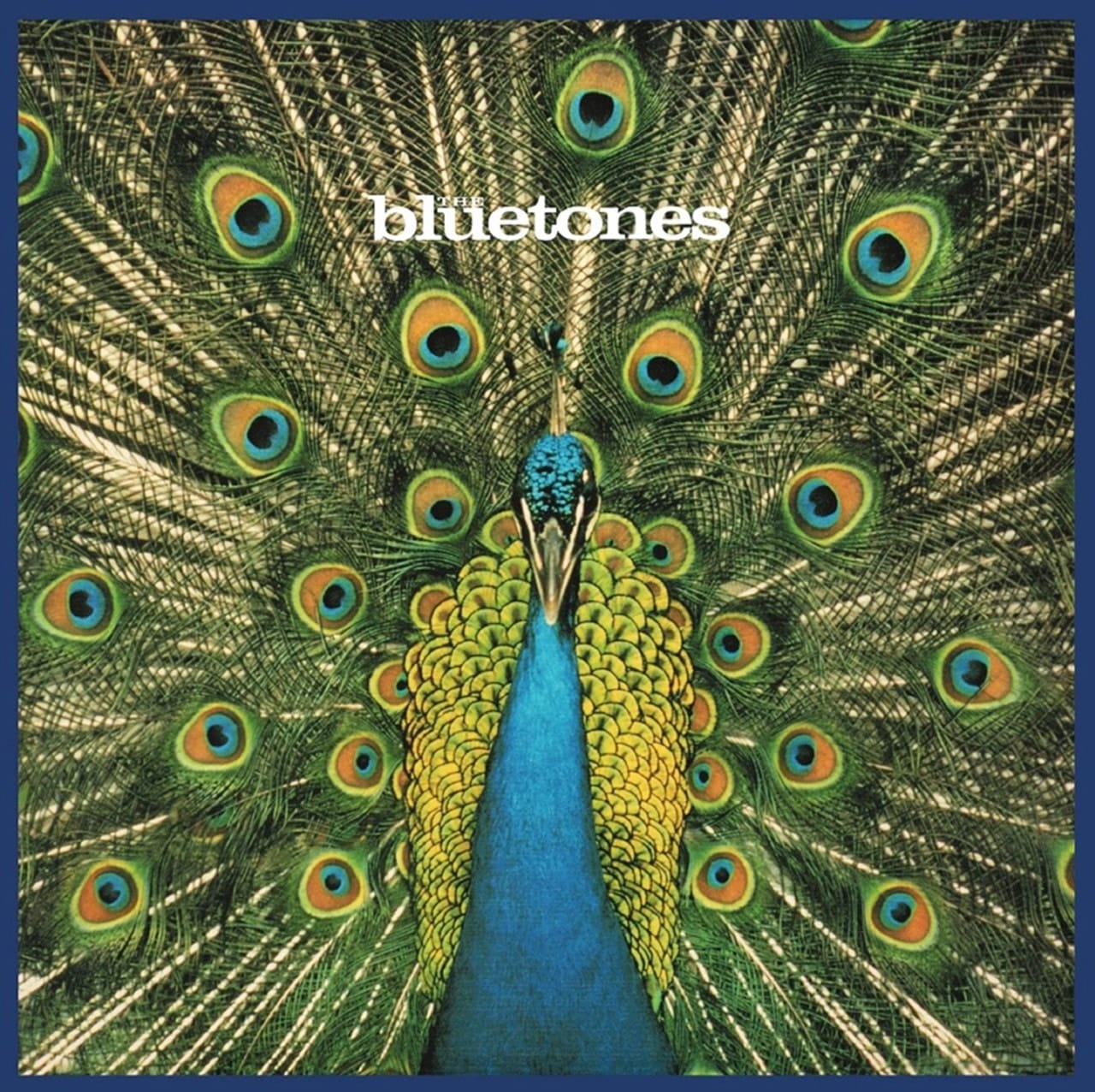 Expecting To Fly - The Bluetones - metafield_custom.product_key_info - - The Vinyl Store