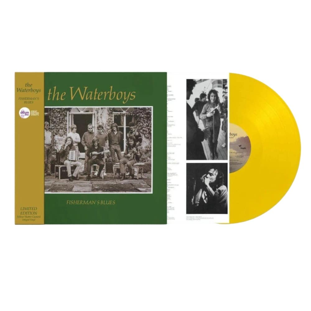 Fisherman's Blues - The Waterboys - metafield_custom.product_key_info - - The Vinyl Store