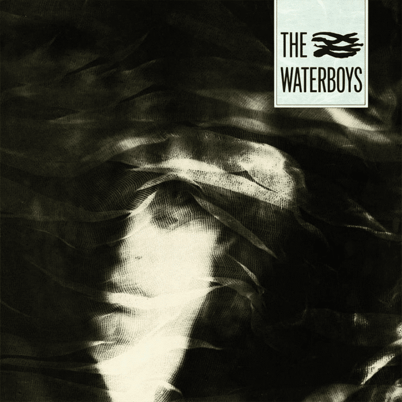 The Waterboys - The Waterboys - lp - 825646310814 - The Vinyl Store