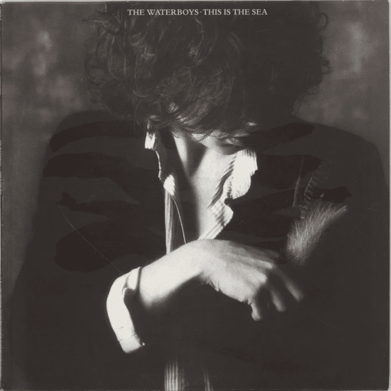 This Is The Sea - The Waterboys - lp - 825646223800 - The Vinyl Store