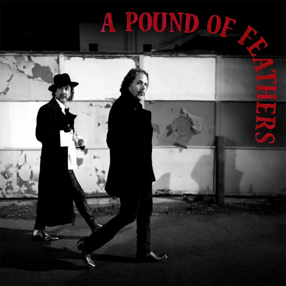 A Pound of Feathers - The Black Crowes - metafield_custom.product_key_info - 020286246619 - The Vinyl Store
