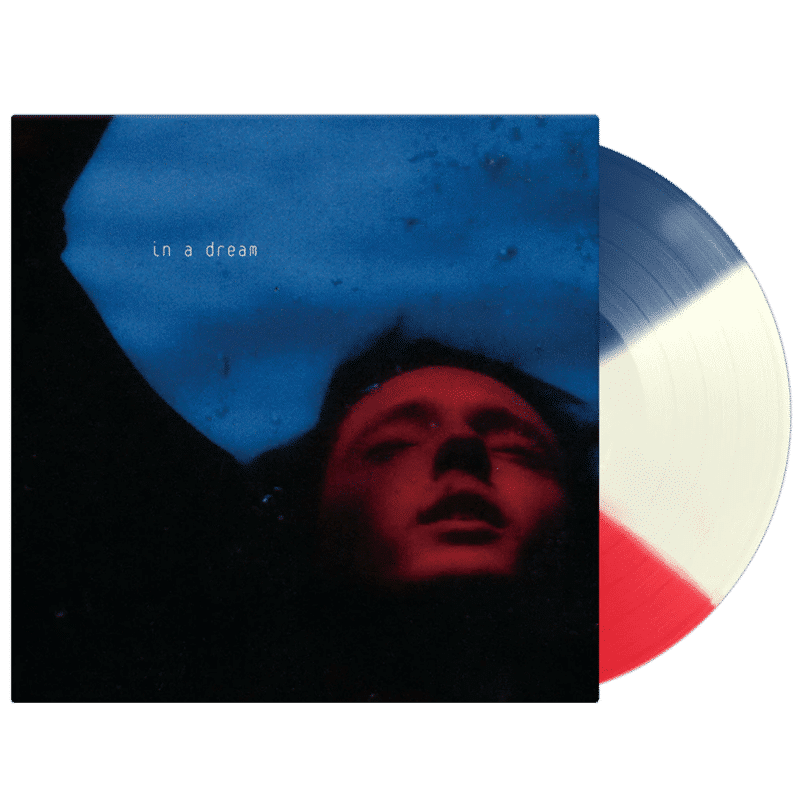 In A Dream - Troye Sivan - metafield_custom.product_key_info - - The Vinyl Store
