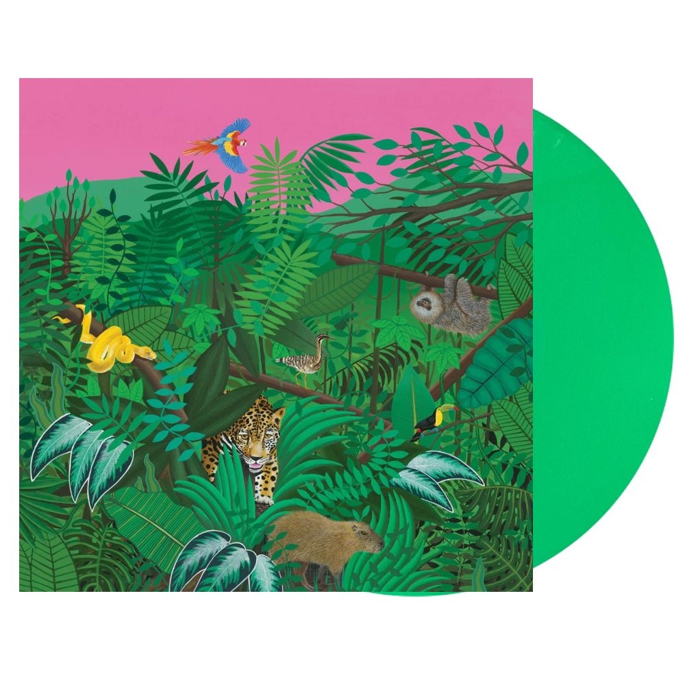 Good Nature - Turnover - lp - - The Vinyl Store