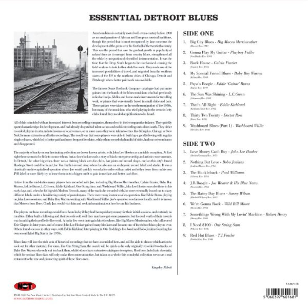 Essential Detroit Blues - Various Artists - lp - - The Vinyl Store