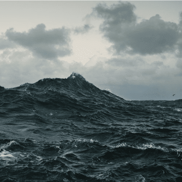 Repave - Volcano Choir - lp - 656605223810 - The Vinyl Store