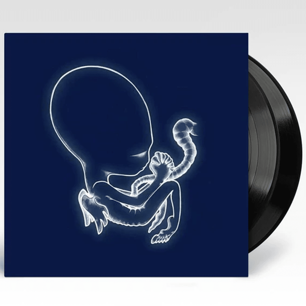 Sigur Rós - Agaetis byrjun - Sigur Rós - 2lp - The Vinyl Store 2LP
