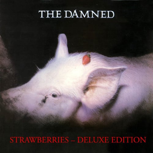 Strawberries - The Damned - metafield_custom.product_key_info -  - The Vinyl Store