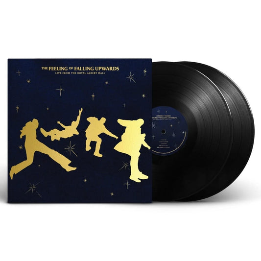 The Feeling Of Falling Upwards - 5 Seconds Of Summer - metafield_custom.product_key_info -  - The Vinyl Store