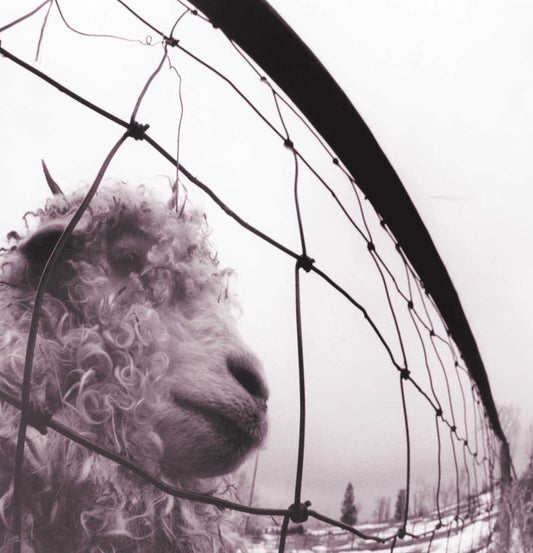 Vs. - Pearl Jam - metafield_custom.product_key_info -  - The Vinyl Store