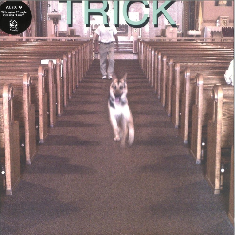 Trick - Alex G - metafield_custom.product_key_info - 689492208011 - The Vinyl Store